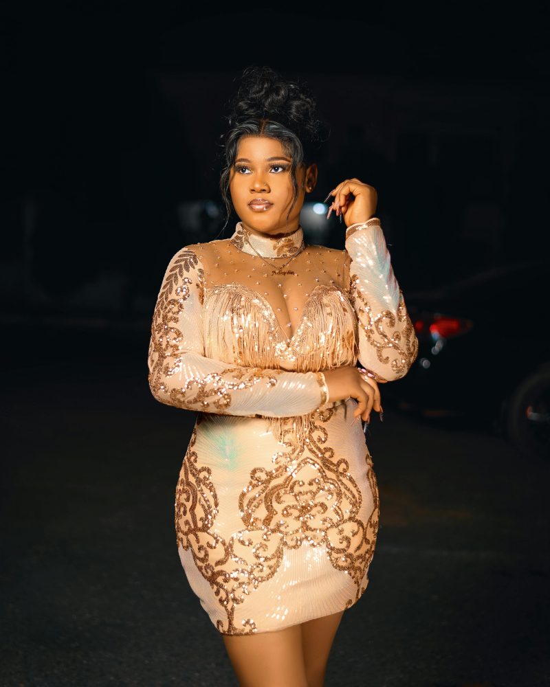 Swizz Lady Gown - Image 4